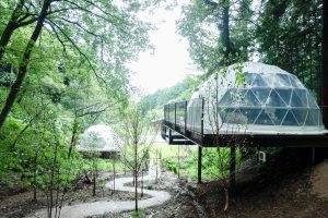 まるで森の中に滞在しているかのような空中グランピングドーム。
